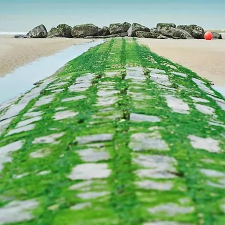 View Five Apartament *