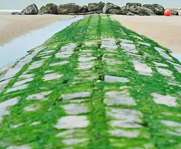 View Five Lägenhet *